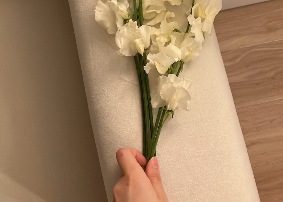 淡いクリーム色の花