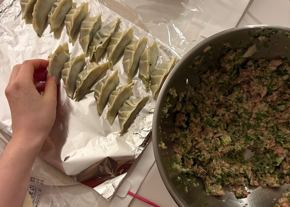 ボウルに入った餡と包んだ餃子達