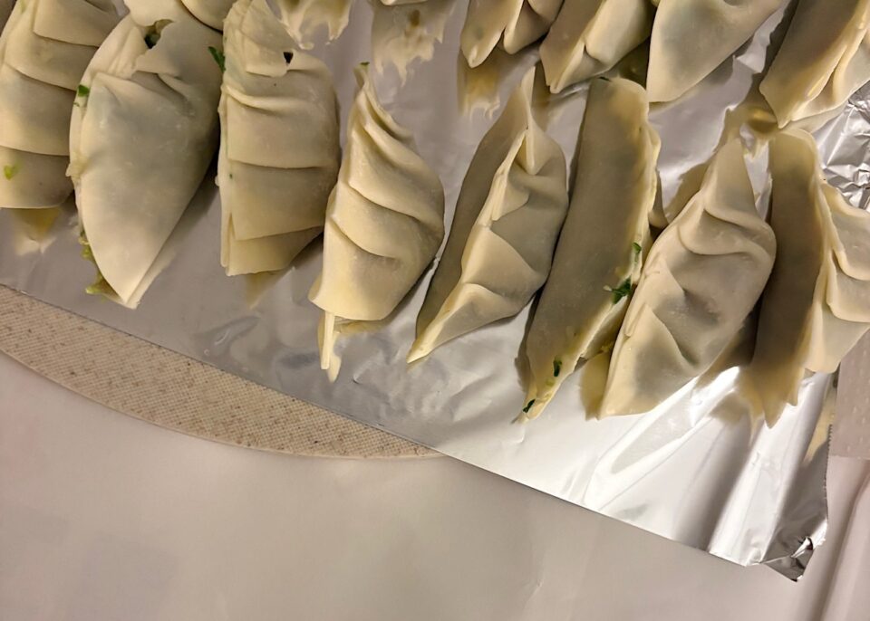 綺麗な餃子やあんがはみ出ている餃子など手作り餃子が並んでいる