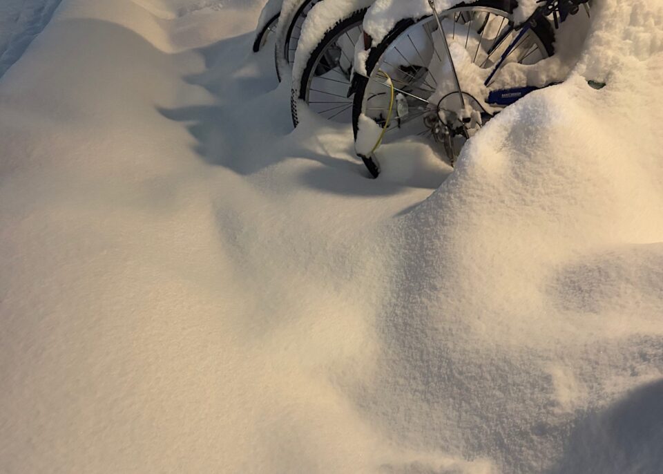 真っ白い雪に自転車が数台埋まっている様子