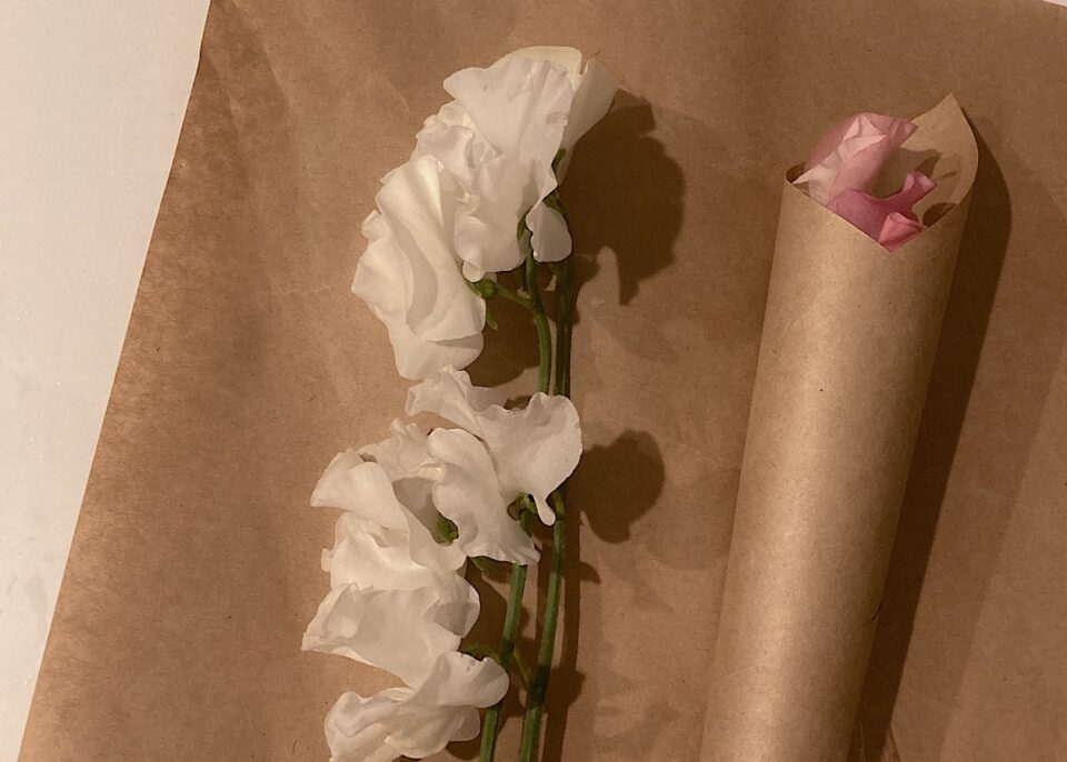 クラフト紙の上に白とピンクの花が一輪ずつ