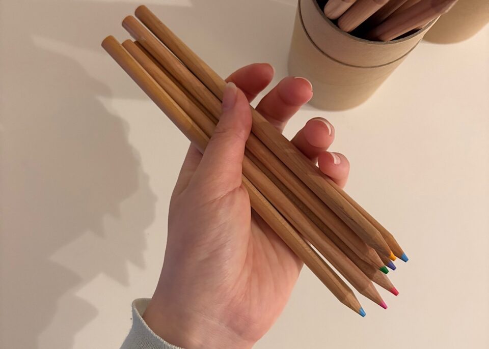 無印良品の色鉛筆を数本手に持っている
